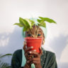 Aisha Ife